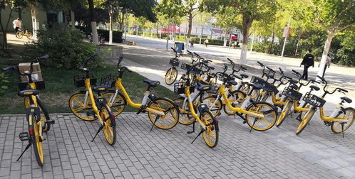 針對校園自行車(chē)亂放現象作文