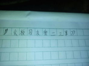 校園友愛(ài)二三事作文700