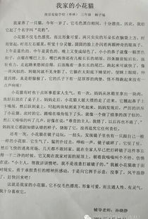 校園課余作文