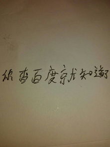 關(guān)于校園的作文字數500字左右
