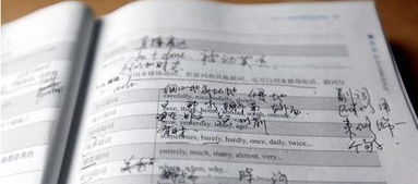 外賣(mài)禁入校園的英語(yǔ)作文