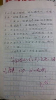 美麗校園作文字數500字左右