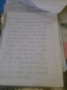 校園那些珍貴記憶600字作文六級