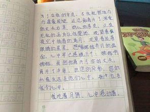 作文,發(fā)生,故事,校園