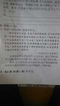 智能又環(huán)保的校園作文