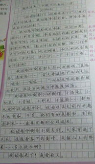 校園里的秋季作文