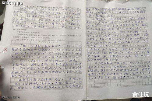 作文,為主題,校園
