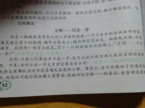 夏天校園的花作文300字