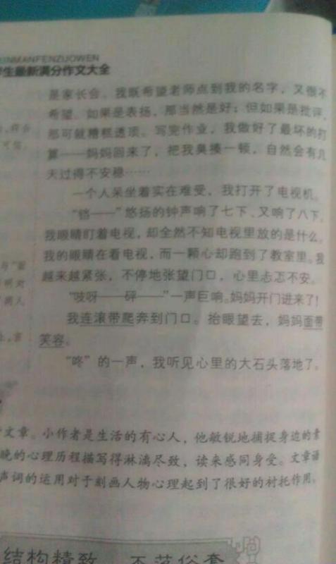誠信校園伴我行作文600字作文
