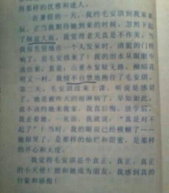 夸夸我們的校園作文400字