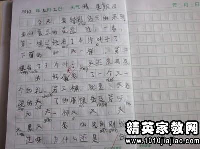 校園的一處植物作文400字