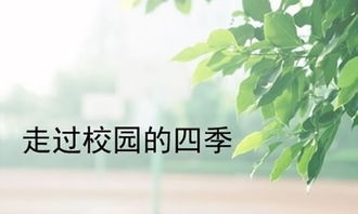 校園的四季500字,四季的校園作文500字,四季的校園作文500字初中