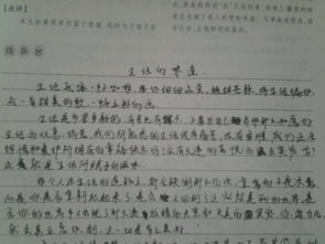校園里的滋味作文550字