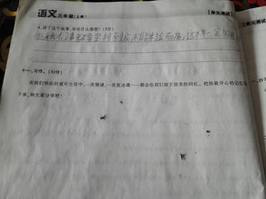 校園里你忘不了什么人作文