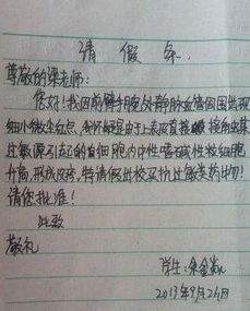 校園里最有趣的事作文