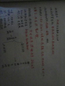 我的校園作文按地點(diǎn)順序寫(xiě)的