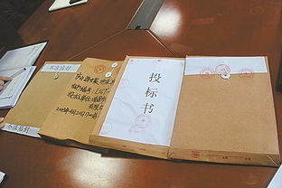 買(mǎi)好標書(shū)拍牌注意事項