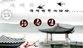 清明時(shí)節的注意事項,白露的養生和注意事項,立秋養生注意事項