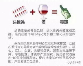 聚餐喝酒注意事項的通知,參加年會(huì )注意事項通知,公司年會(huì )注意事項通知