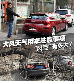 大風(fēng)天氣停車(chē)注意事項