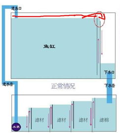 底濾魚(yú)缸開(kāi)缸注意事項