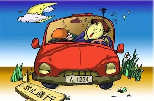 春節(jié)坐車回家注意事項,貓咪坐車注意事項,狗狗坐車注意事項