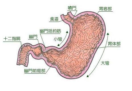 注意事項,胃類(lèi)癌