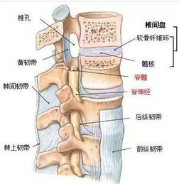 綜合癥,關(guān)節,注意事項,腰椎間盤(pán)