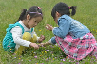 游園,幼兒園,注意事項