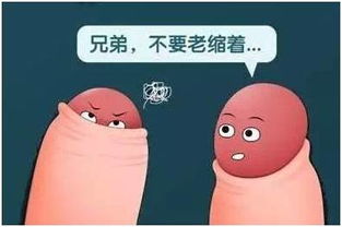包莖,注意事項