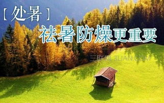處暑開(kāi)運注意事項