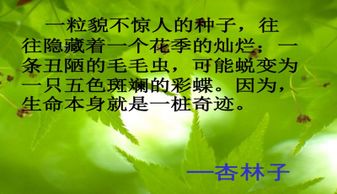 課間,注意事項,活動,ppt