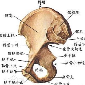 上頜竇穿刺術(shù)后注意事項,上頜竇穿刺沖洗的目的和注意事項有哪些,骨髓穿刺后注意事項