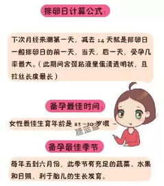 孕前準備工作和注意事項