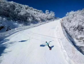 滑雪的注意事項,滑雪注意事項和要領(lǐng),新手滑雪注意事項