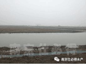 新開(kāi)的螃蟹塘注意事項