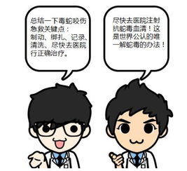 注意事項,天氣