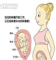 懷孕幾周要注意什么,懷孕前幾周注意事項,懷孕2-3周注意事項