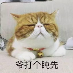 后院,注意事項