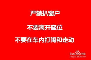 親子團隊注意事項