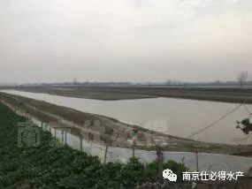 螃蟹風(fēng)水寶地注意事項,螃蟹放生注意事項,養螃蟹的注意事項