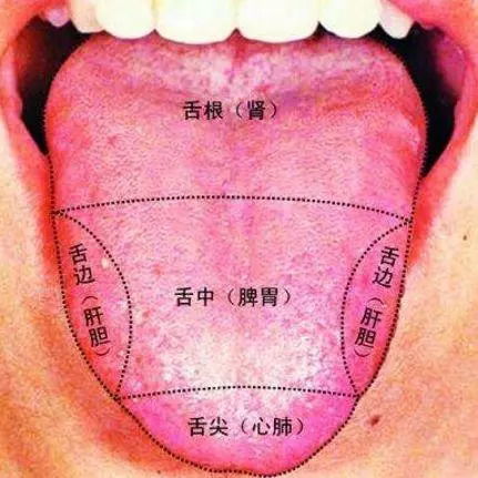 舌臍帶手術(shù)注意事項,舌部手術(shù)注意事項,舌系手術(shù)注意事項