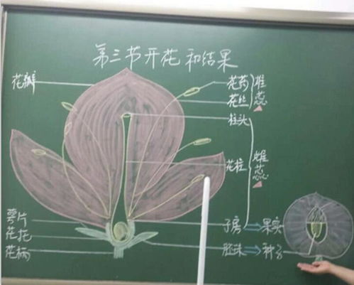 簡(jiǎn)述教師應用板書(shū)的注意事項