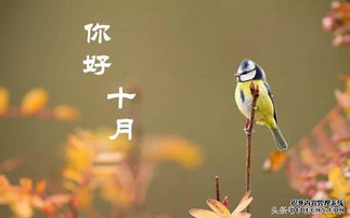 立秋養生注意事項,秋季養生注意事項,白露的養生和注意事項