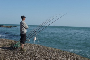 電魚(yú),海水,注意事項