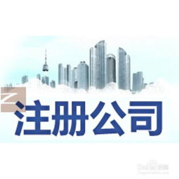 注意事項,公司