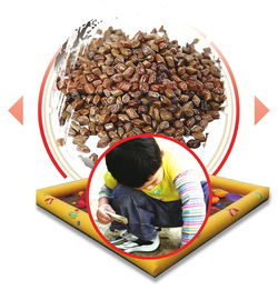 決明子沙池注意事項(xiàng)