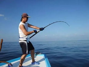 海水電魚(yú)注意事項