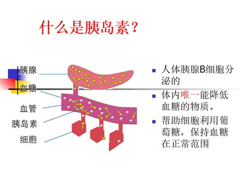 胰島素,注射,注意事項,ppt