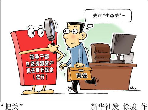 離任,應注意,審計,事項